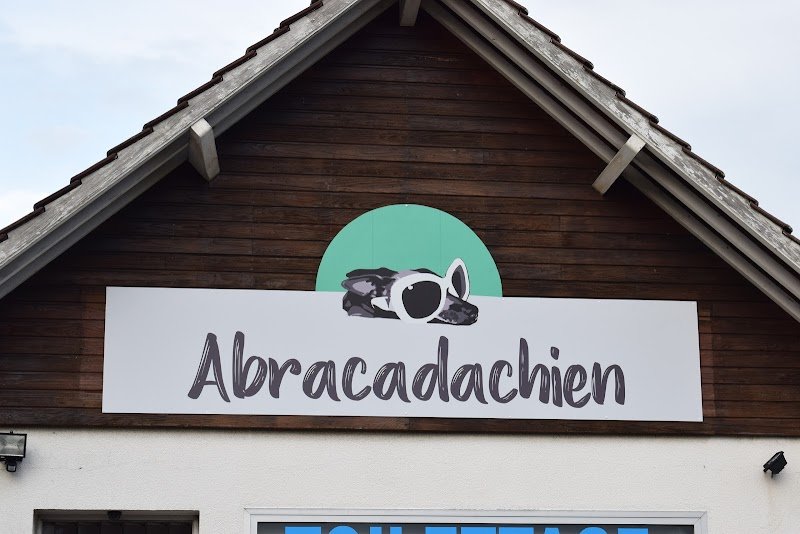 Abracadachien - photo 1