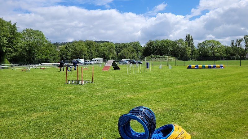 Club du chien sportif de Montbard et de ses environs - photo 1