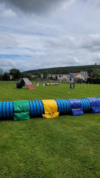 Club du chien sportif de Montbard et de ses environs - photo 3