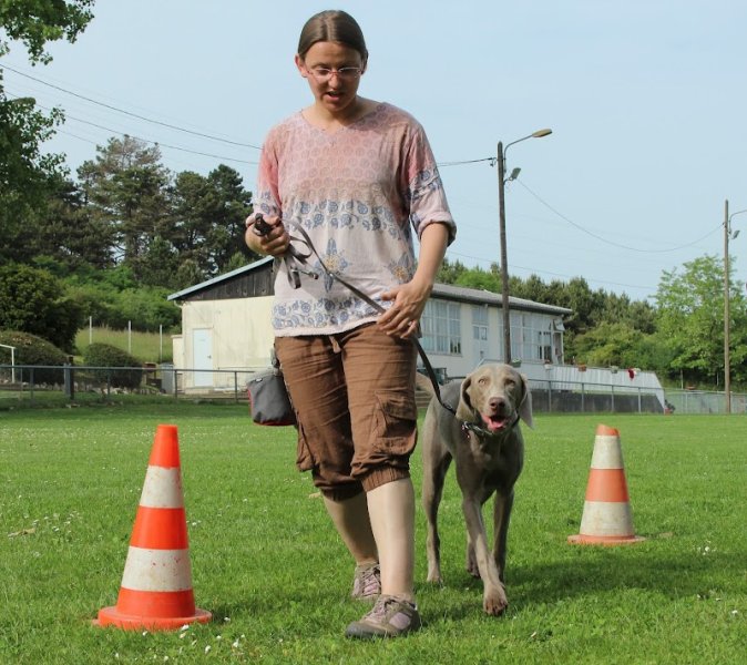 L'Essentiel Canin - photo 1