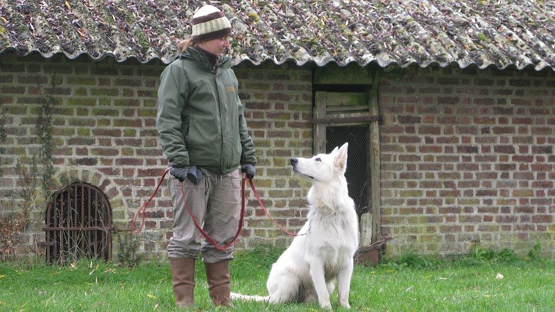 L'Essentiel Canin - photo 3