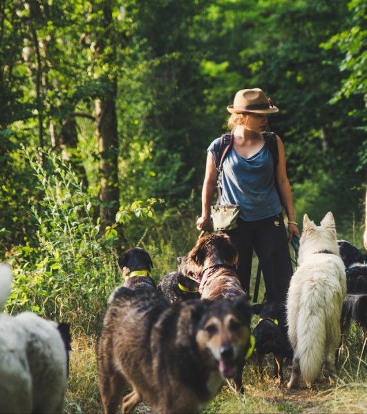 Charline Devaux éducateur et comportementaliste canin - photo 1