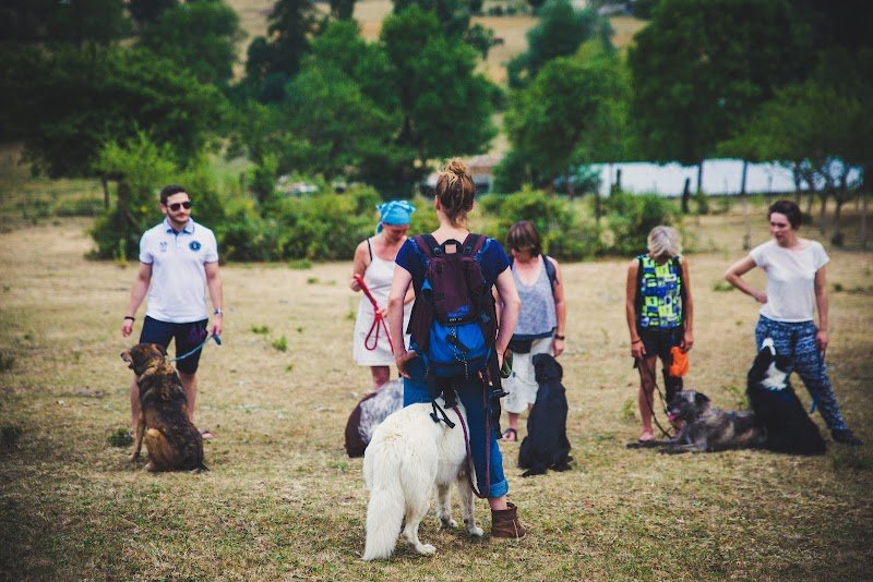 Charline Devaux éducateur et comportementaliste canin - photo 2
