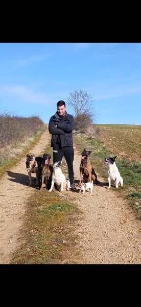 Pierrick Quignard Educateur Canin - photo 1