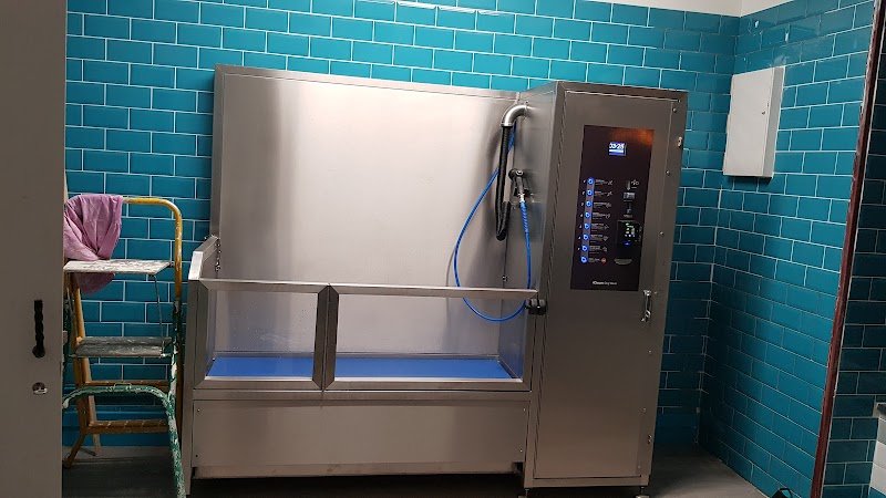 Au Bain de mon Chien - photo 1