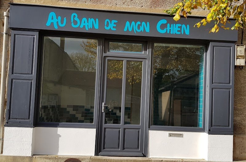 Au Bain de mon Chien - photo 2