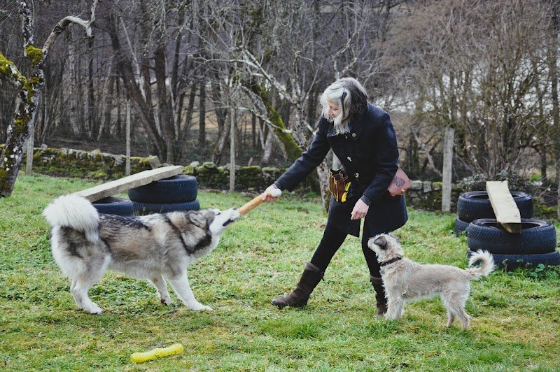 Esprit Louve - Éducation canine - photo 1