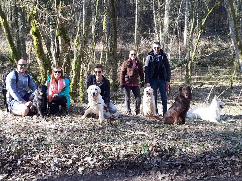 Os'Mose Canine - Educateur canin comportementaliste