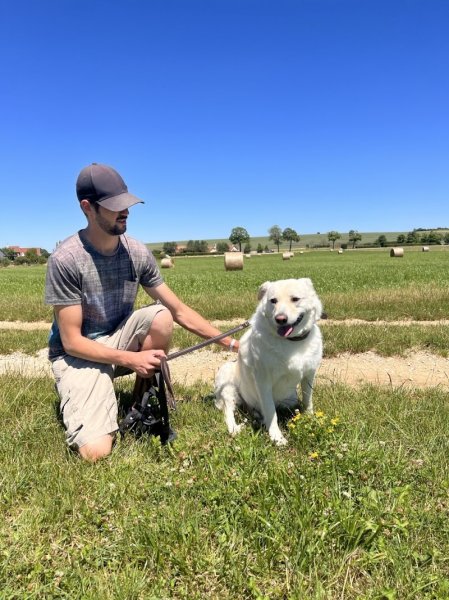 Dogs Vibes - Quentin NOEL
