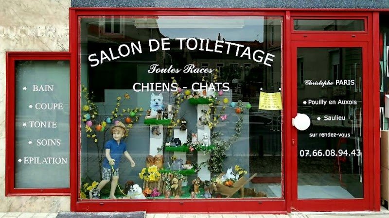 Paris Christophe - Toilettage Canin - photo 1