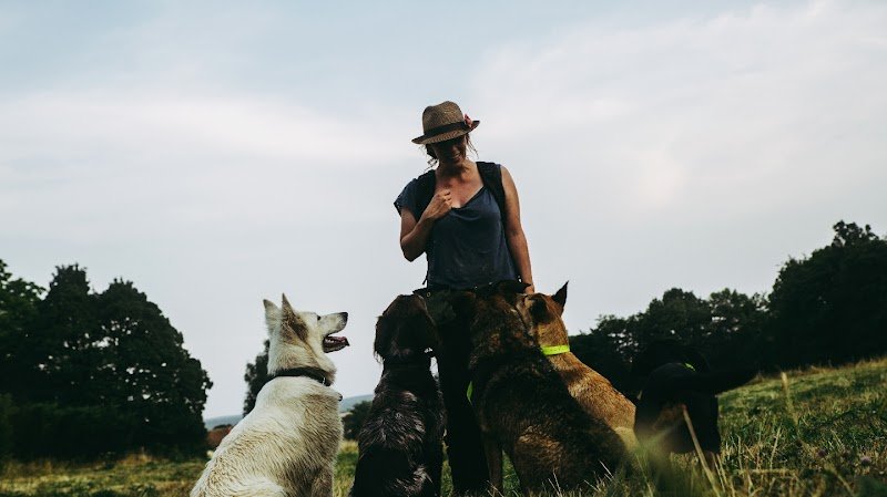 Charline DEVAUX - éducateur canin - promeneur de chiens