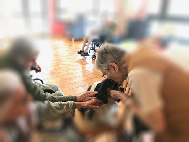 Association Canine Empreintes CYNO21 - photo 1