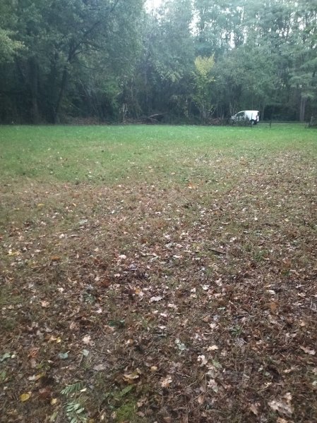 CYNOCOMM' Comportement canin et fleurs de Bach - photo 3