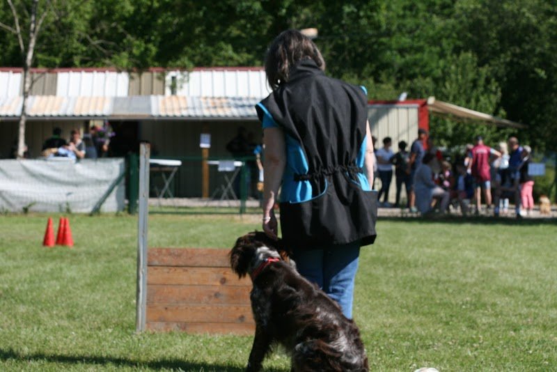 Club canin lamarchoise - photo 2