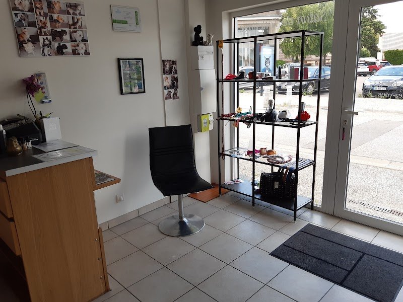 Au Chien Beaute - photo 3