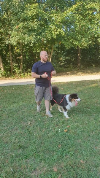 Dog Starter | Educateur Comportementaliste Canin Dijon - photo 3