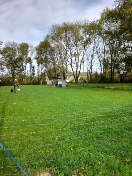 Education et Sports Canins Châtenoy le Royal - photo 2