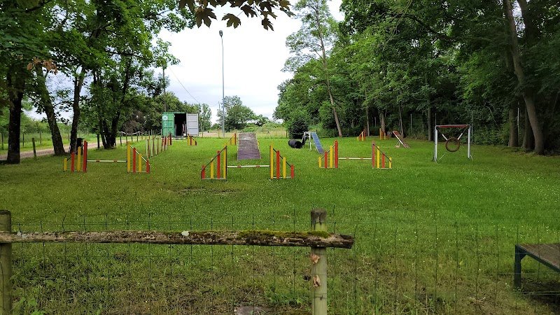 Education et Sports Canins Châtenoy le Royal - photo 3