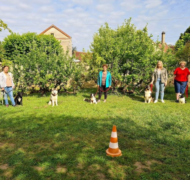 Éducateur canin - Nicolas Roussoulet - photo 2