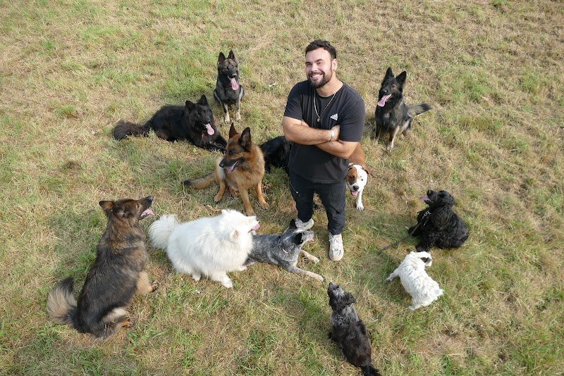 Nicolas Legrand : Éducateur Canin Comportementaliste