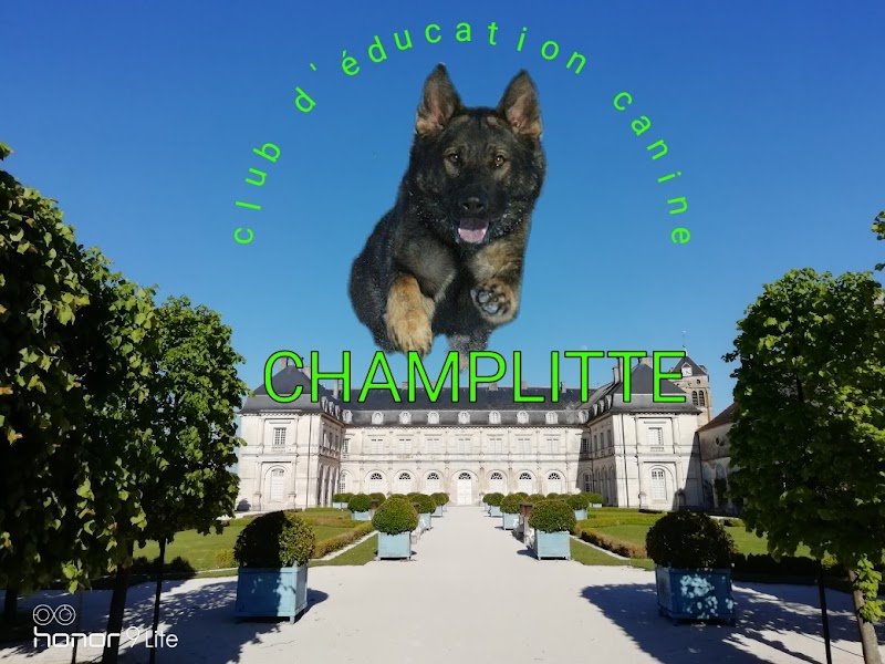 Club d'éducation canine champlitte - photo 2