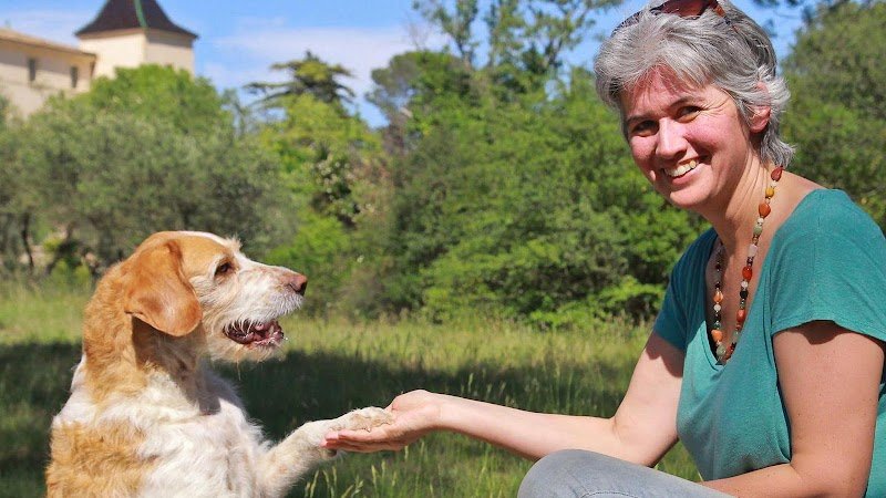 Educ'N Fun, l'education canine complice - photo 1