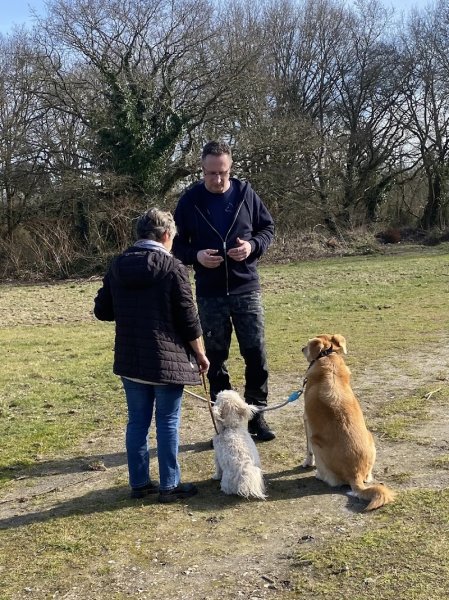 Esprit canin - éducateur canin à Rouen - photo 2