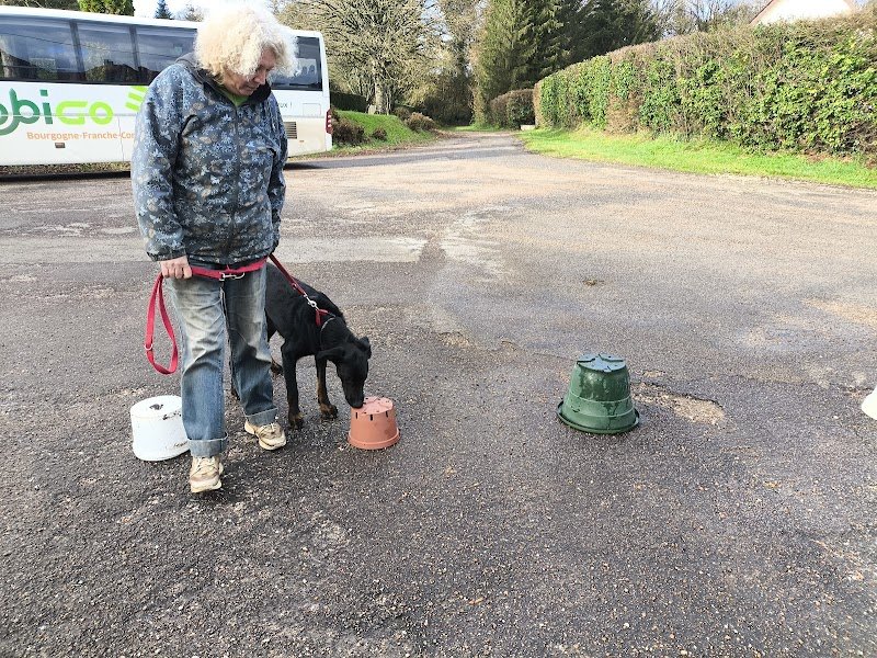 CANI'DRESS terrain de dressage canin - photo 3