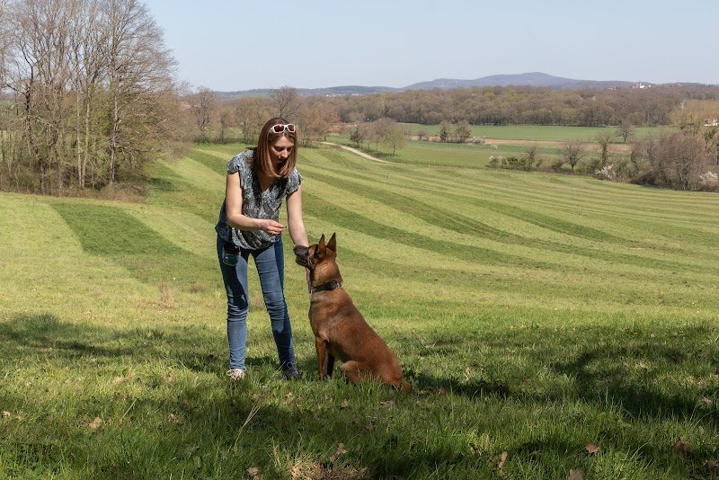 Cani'solutions educateur canin ranchot, besancon, saint vit, dole