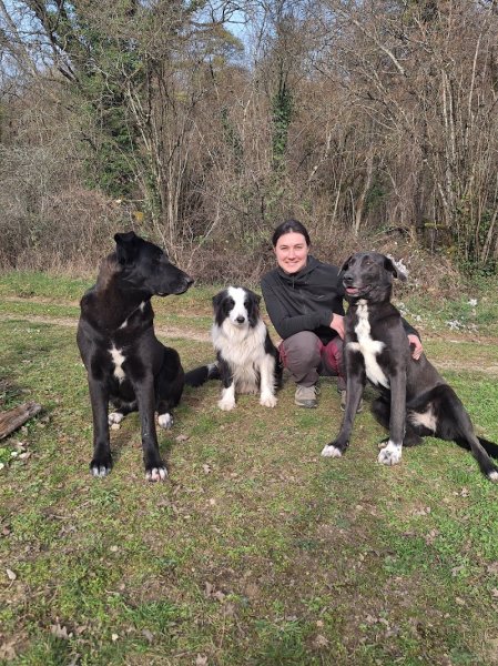 PsyCoDog Educateur comportementaliste canin Dijon / Langres - photo 3