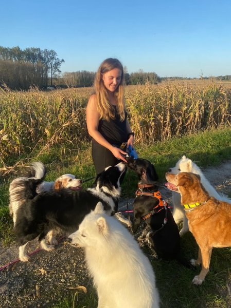 Oxymaux : médiation animal, comportementaliste et éducatrice canine