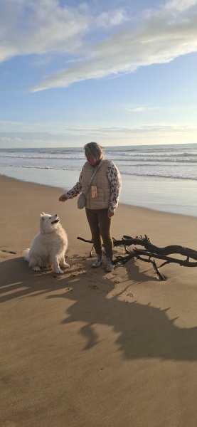 Oxymaux : médiation animal, comportementaliste et éducatrice canine - photo 3