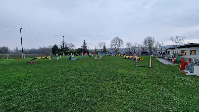 Educateur Canin : Dressage chien