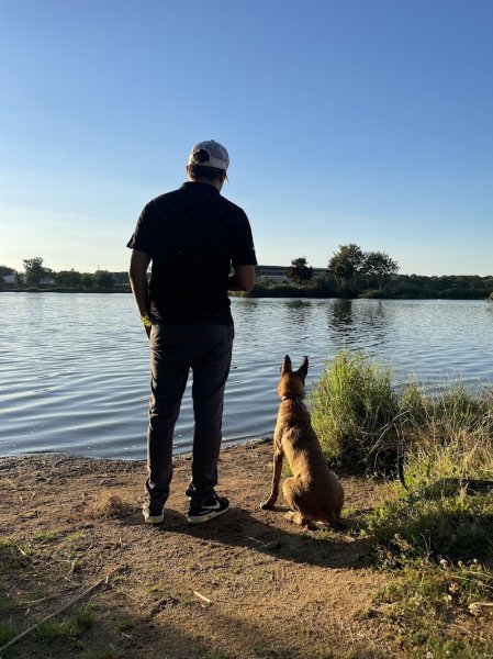 C'OMPORT DOG - photo 2