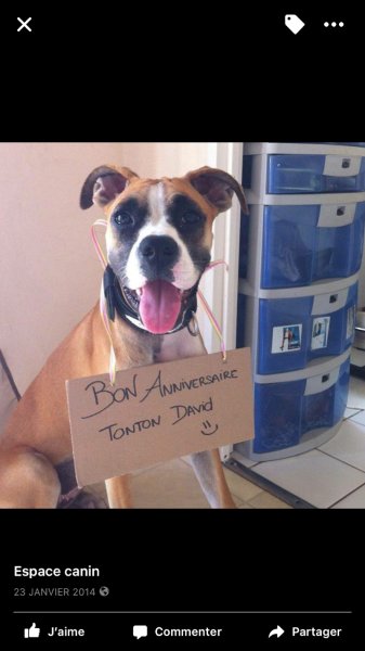 Espace canin - photo 2