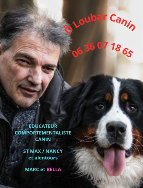 Ô Loubar Canin / Educateur Comportementaliste Canin Nancy / Meurthe et Moselle (54) / Lorraine - photo 1