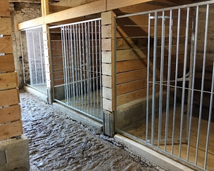 Pension canine de la Prêlée - photo 2