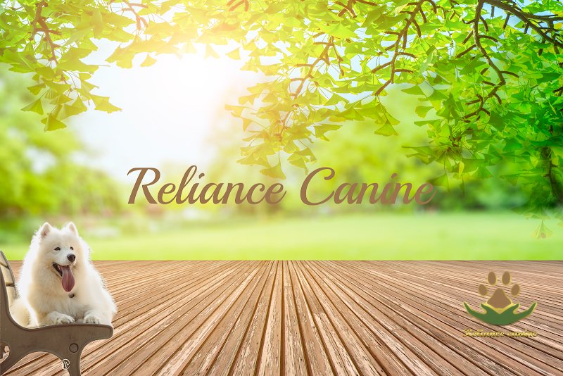Reliance Canine
