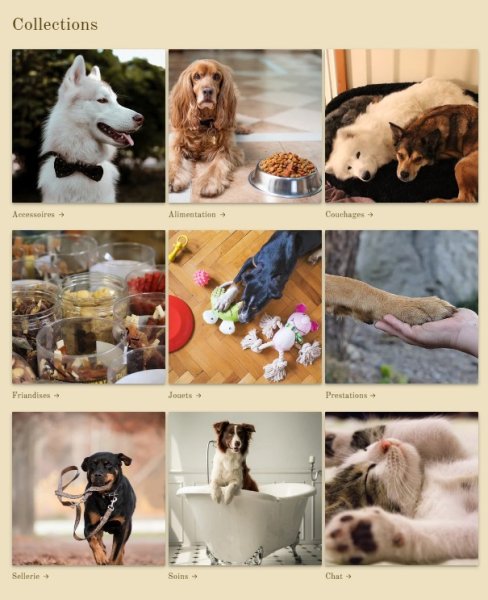 Reliance Canine - photo 2