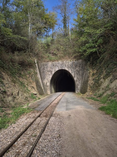 Club Canin AOC Le Creusot - photo 2