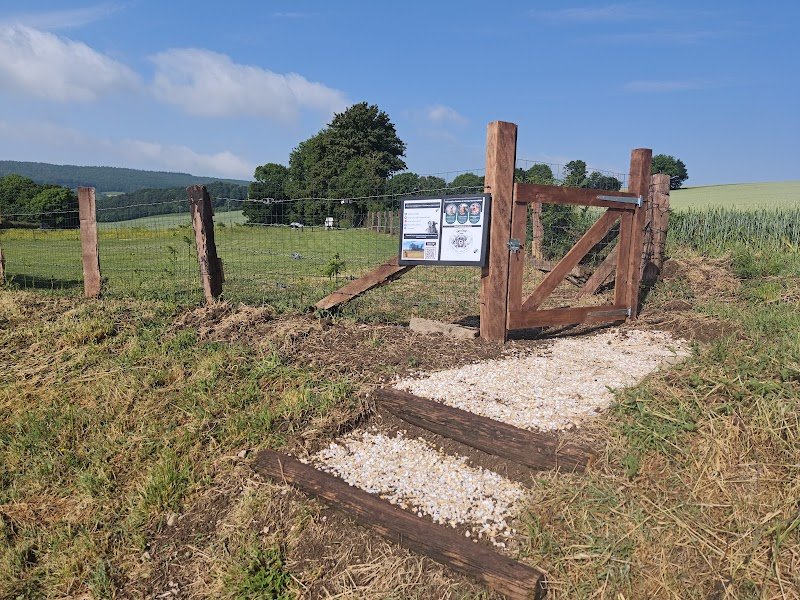 Emy Educ Canin - photo 2