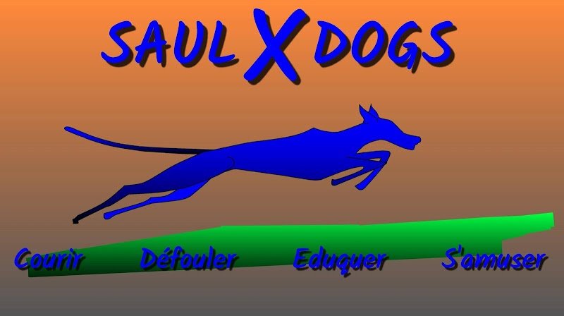 SAULXDOGS