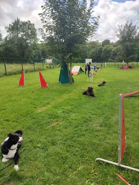 Lor'educ éducateur comportementaliste canin