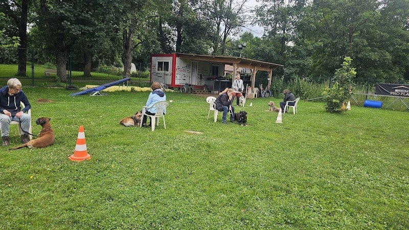 Lor'educ éducateur comportementaliste canin - photo 2
