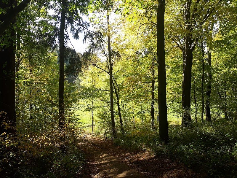 Club Canin La Bruyère - photo 2