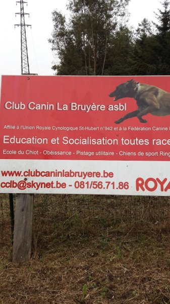 Club Canin La Bruyère - photo 3