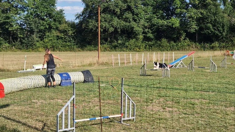 EDUC SPORT DOG - photo 2