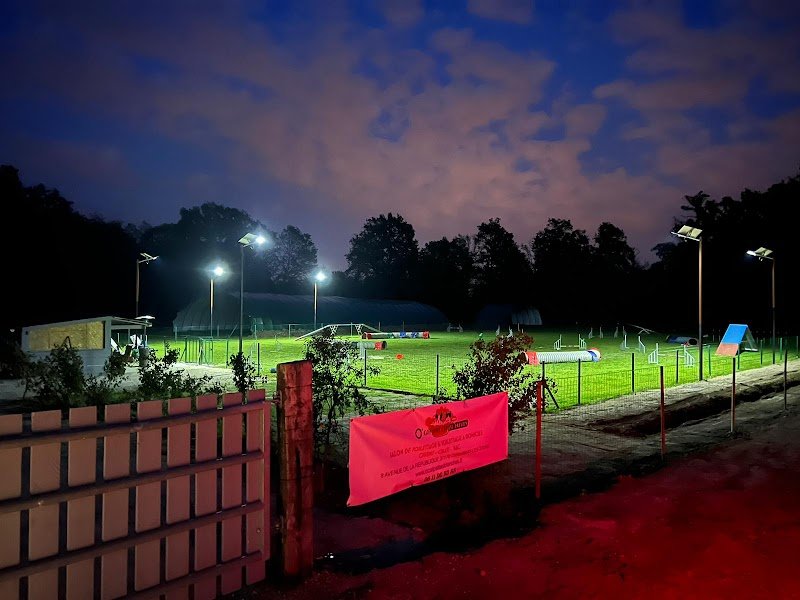 EDUC SPORT DOG - photo 3