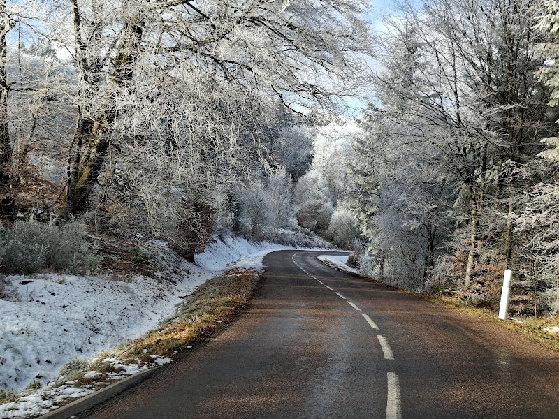 Le Chien Qui Rit: logement pour chiens - photo 3