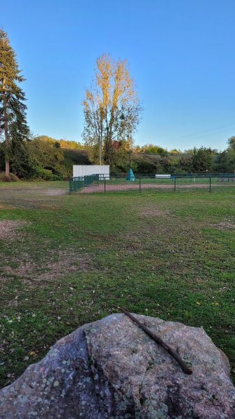 Club Canin C.E.S.C. - photo 2